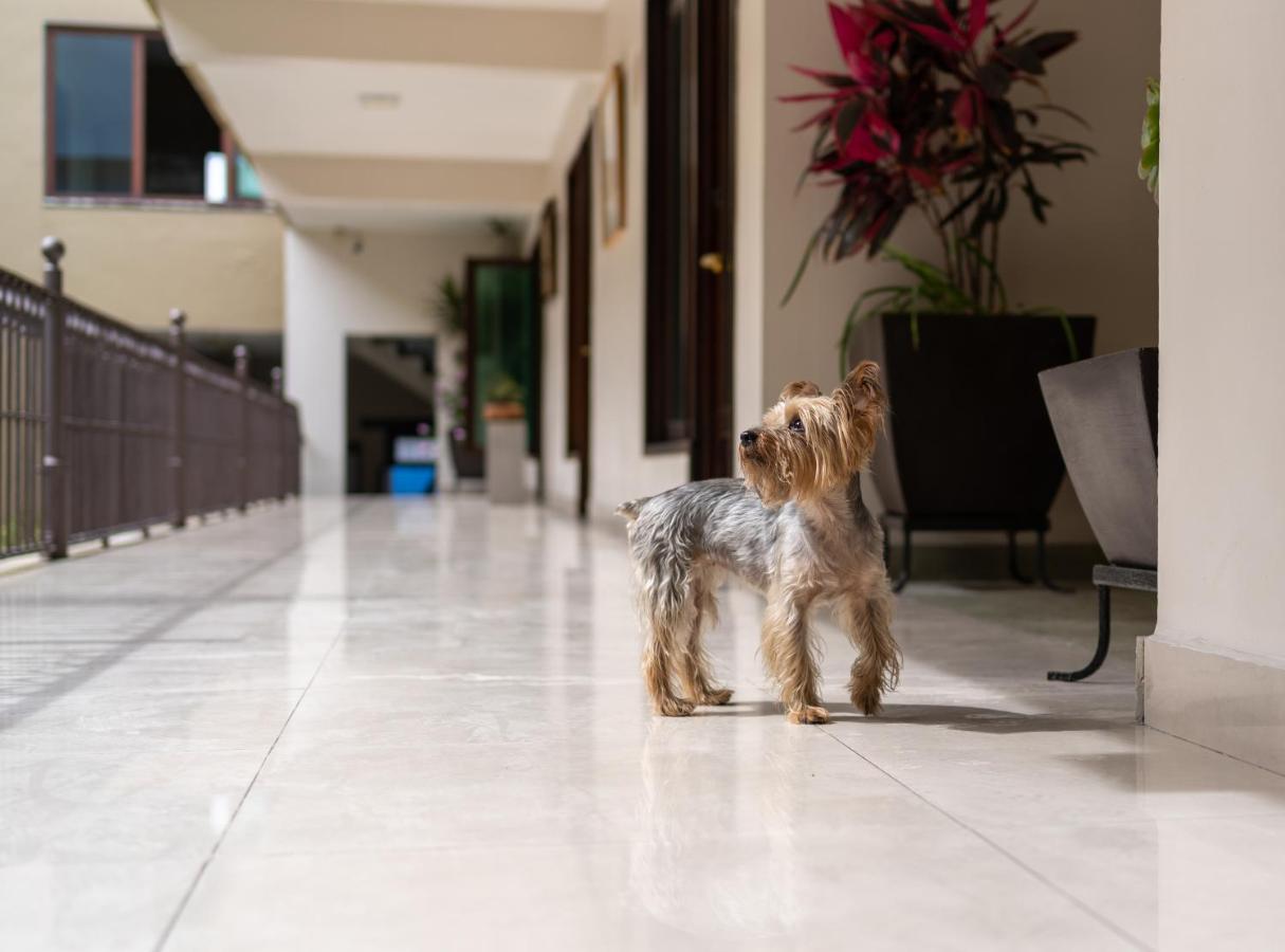 Casa De Las Flores Hotel Oaxaca Dış mekan fotoğraf