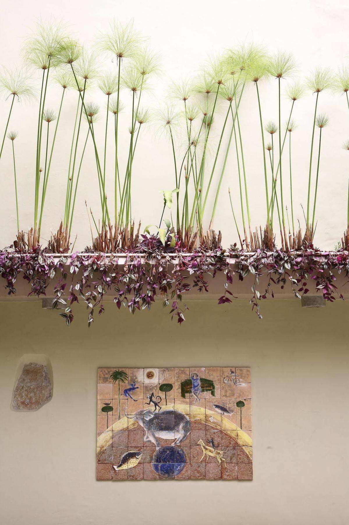 Casa De Las Flores Hotel Oaxaca Dış mekan fotoğraf